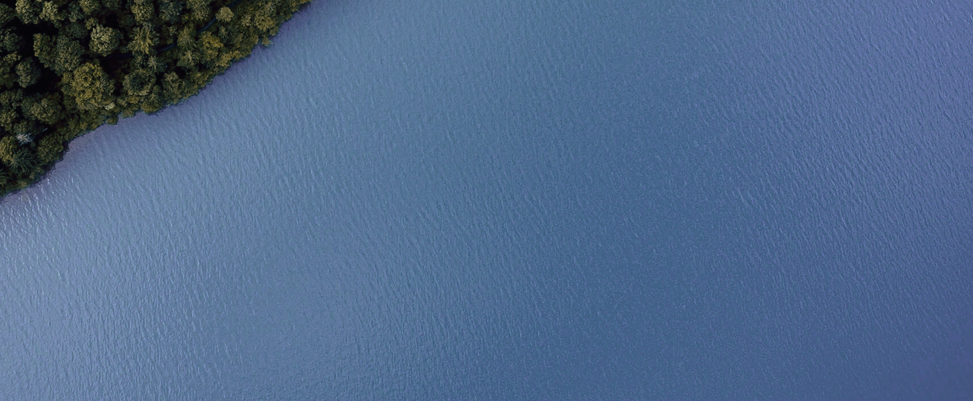 Det hurtigst voksende Agency for Amazon i Norden