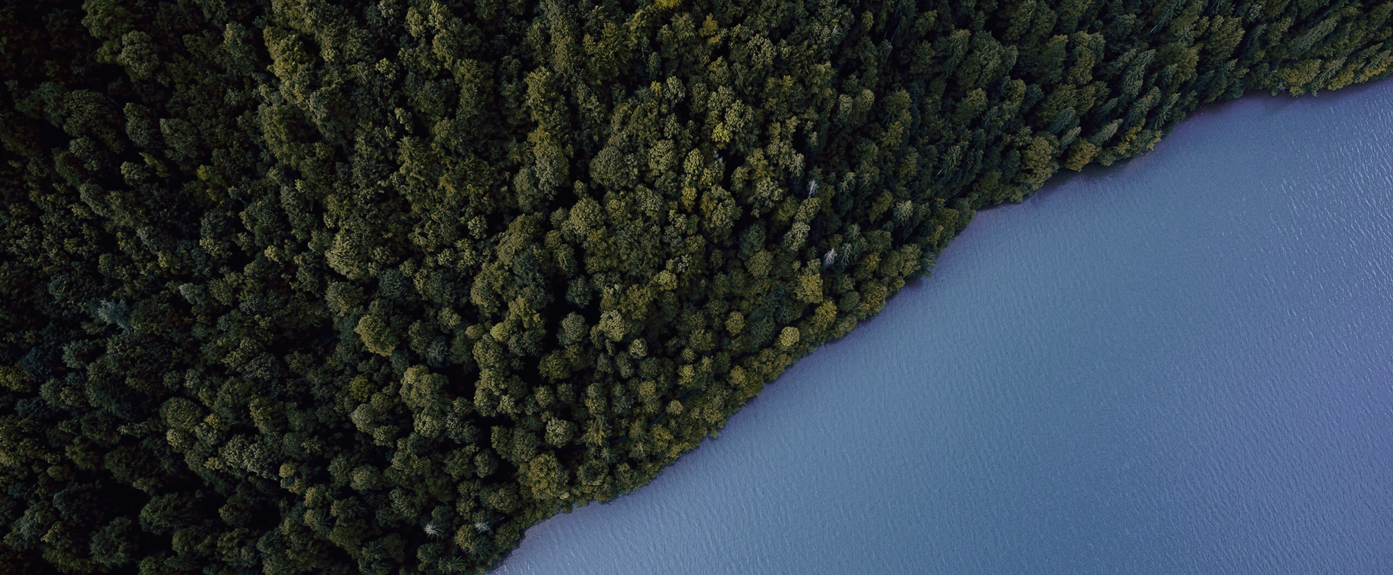 Resultater baseret på en solid proces